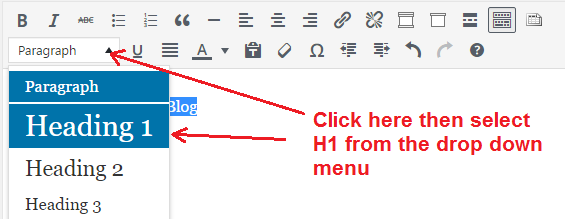 h1-tag-setup-in-wordpress-2